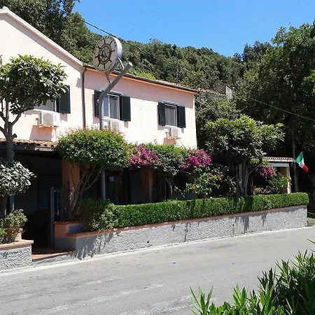 Da Zio Pino